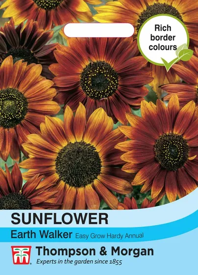 Sunflower Earth Walker - image 1
