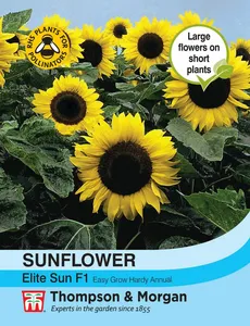 Sunflower Elite Sun F1 - image 1