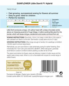 Sunflower Little Dorrit F1 - image 2