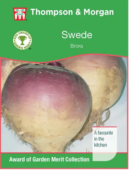 Swede Brora - image 1