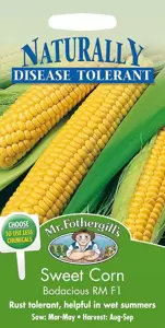 Sweet Corn Bodacious Rm F1 - image 1
