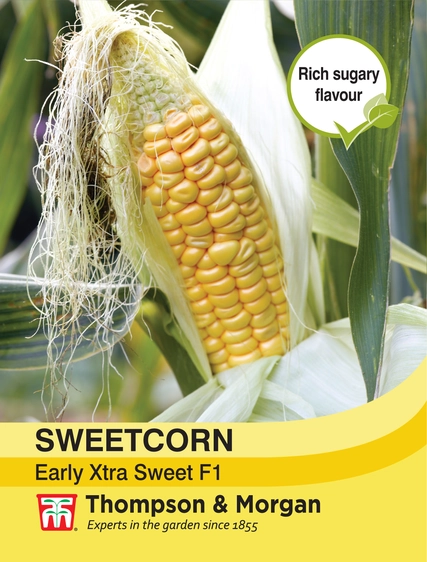 Sweet Corn Early Xtra Sweet F1 - image 1