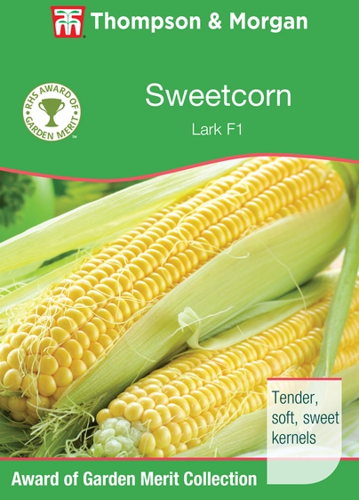 Sweet Corn Lark F1 - image 1