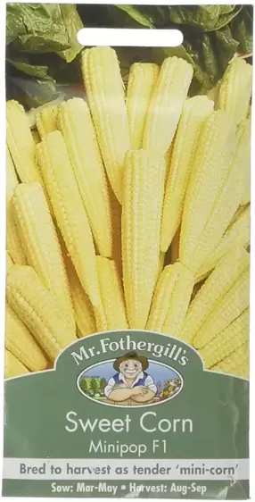 Sweet Corn Minipop F1 - image 1