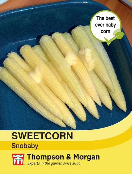 Sweet Corn Snobaby - image 1