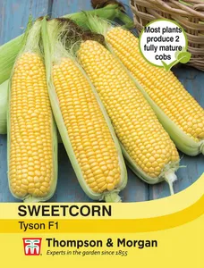 Sweet Corn Tyson - image 1