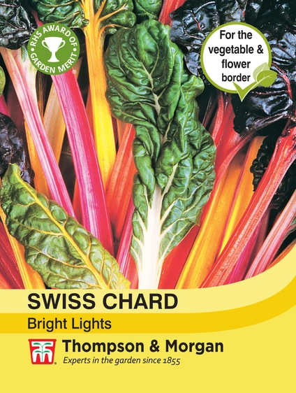 Swiss Chard Bright Lights - image 1