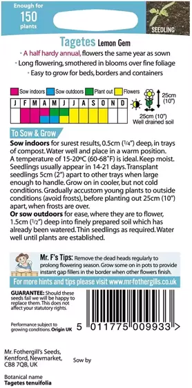 Tagetes Lemon Gem - image 2