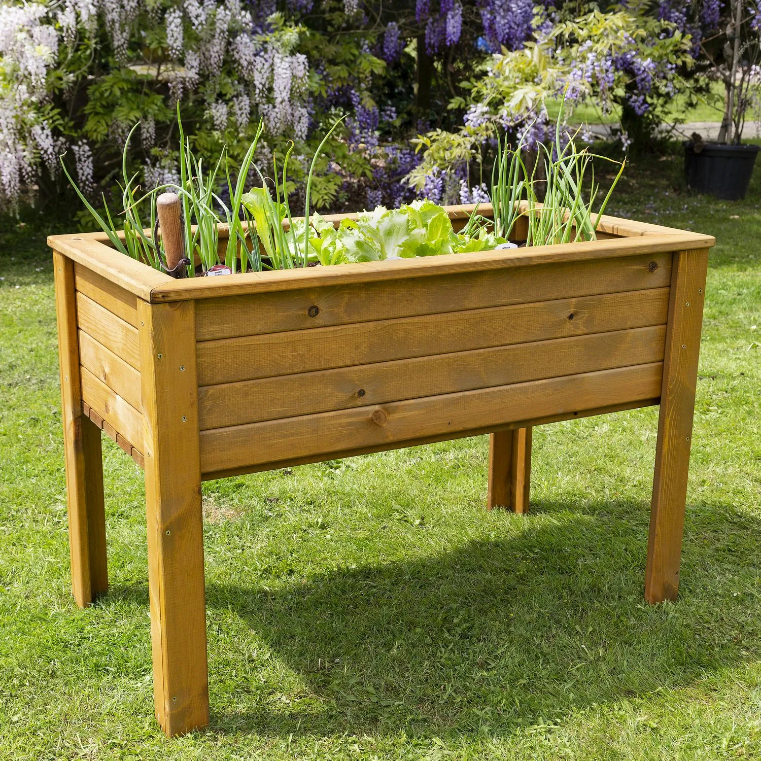 Tom Chambers Vegetable Raised Planter - Cowell's Garden Centre ...