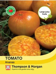 Tomato Ananas - image 1