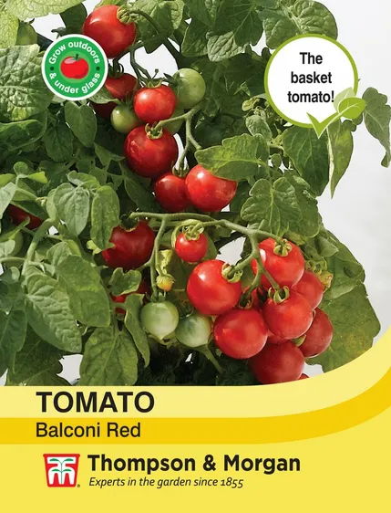 Tomato Balconi Red - image 1