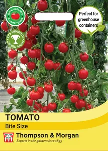 Tomato Bite Size - image 1