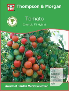 Tomato Cherrola F1 - image 1