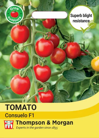 Tomato Consuelo (Crimson Cherry) - image 1