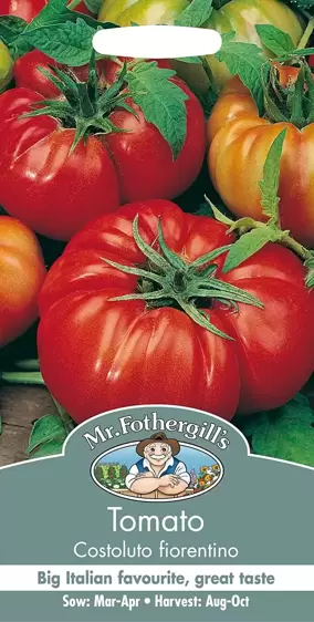 Tomato Costoluto Fiorentino - image 1