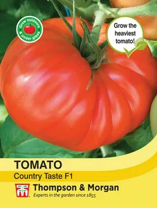 Tomato Country Taste F1 - image 1