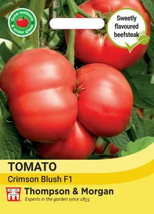 Tomato Crimson Blush F1 - image 1