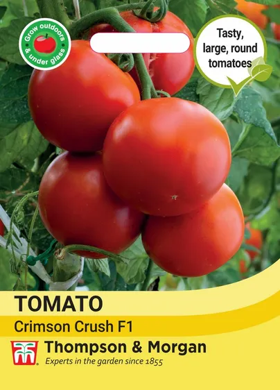 Tomato Crimson Crush F1 - image 1