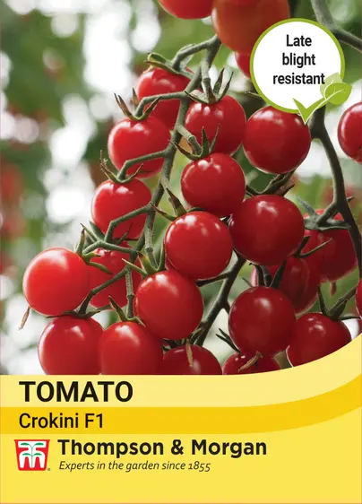 Tomato Crokini F1 - image 1