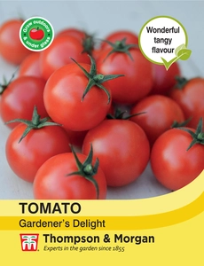 Tomato Gardeners Delight - image 1