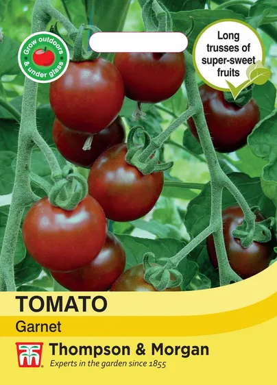 Tomato Garnet - image 1