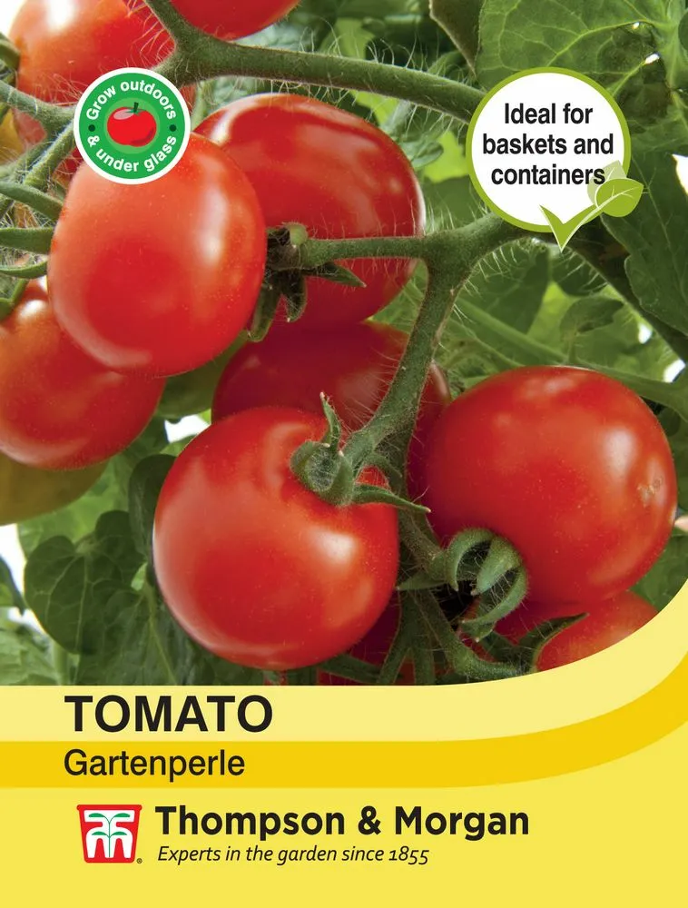 Tomato Gartenperle