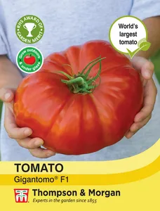 Tomato Gigantomo F1 - image 1