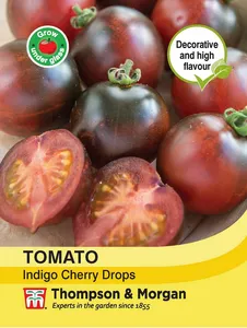 Tomato Indigo Cherry Drops - image 1