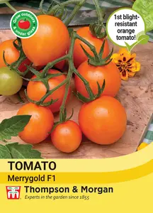 Tomato Merrygold F1 - image 1