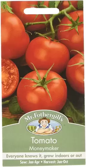 Tomato Moneymaker - image 1