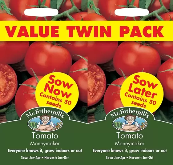 Tomato Moneymaker Bumper Pack - image 1