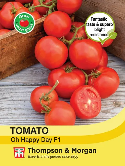 Tomato Oh Happy Day - image 1