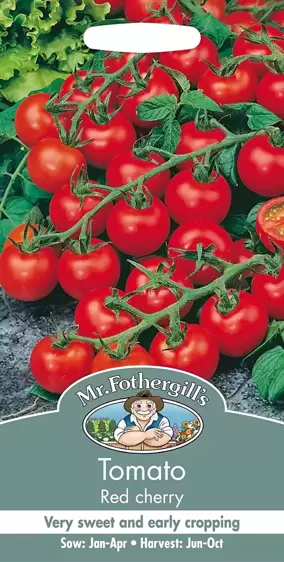 Tomato Red Cherry - image 1