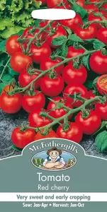 Tomato Red Cherry - image 1