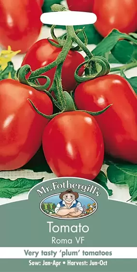 Tomato Roma Vf - image 1