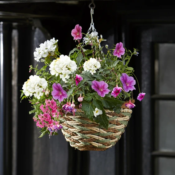 Trinity Hanging Basket - image 1