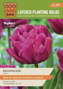 Tulip Backpacker