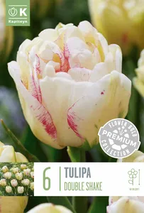 Tulip Double Shake