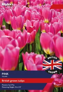 Tulip Pink