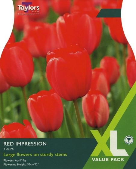 Tulip Red Impression