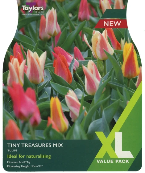 Tulip Tiny Treasures Mix