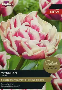 Tulip Wyndham