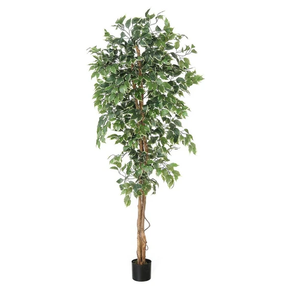 Variegated Ficus Artificial Tree 90cm