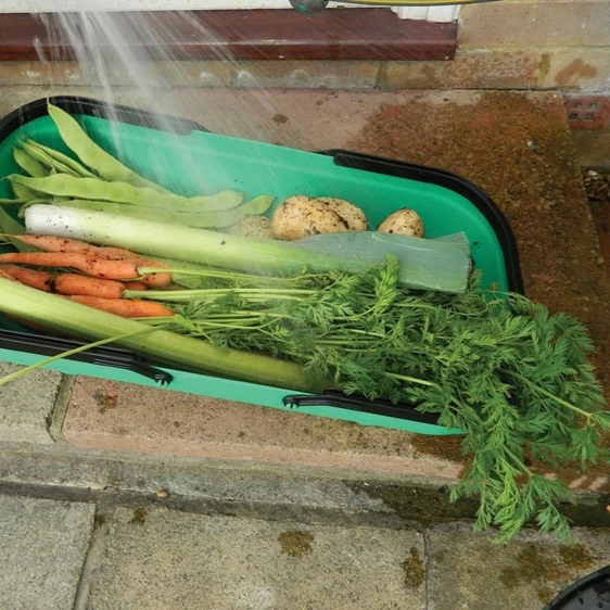 Vegetable Colander Trug - image 3