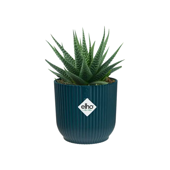 elho Vibes Fold Deep Blue Mini Pot Ø7cm - image 3