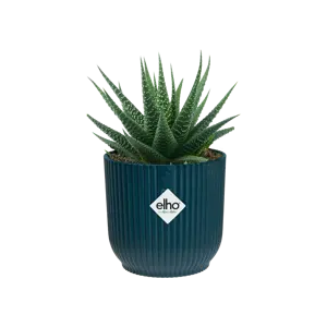 elho Vibes Fold Deep Blue Mini Pot Ø7cm - image 3