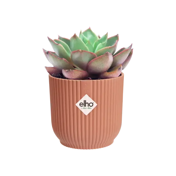 elho Vibes Fold Delicate Pink Mini Pot Ø7cm - image 3