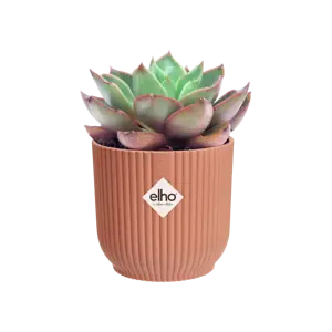 elho Vibes Fold Delicate Pink Mini Pot Ø7cm - image 3