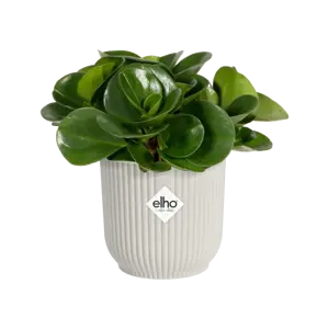 elho Vibes Fold Silky White Mini Pot Ø7cm - image 2