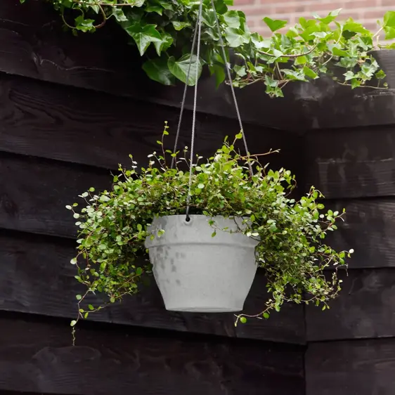 elho Vibia Campana Living Concrete Hanging Planter - image 1